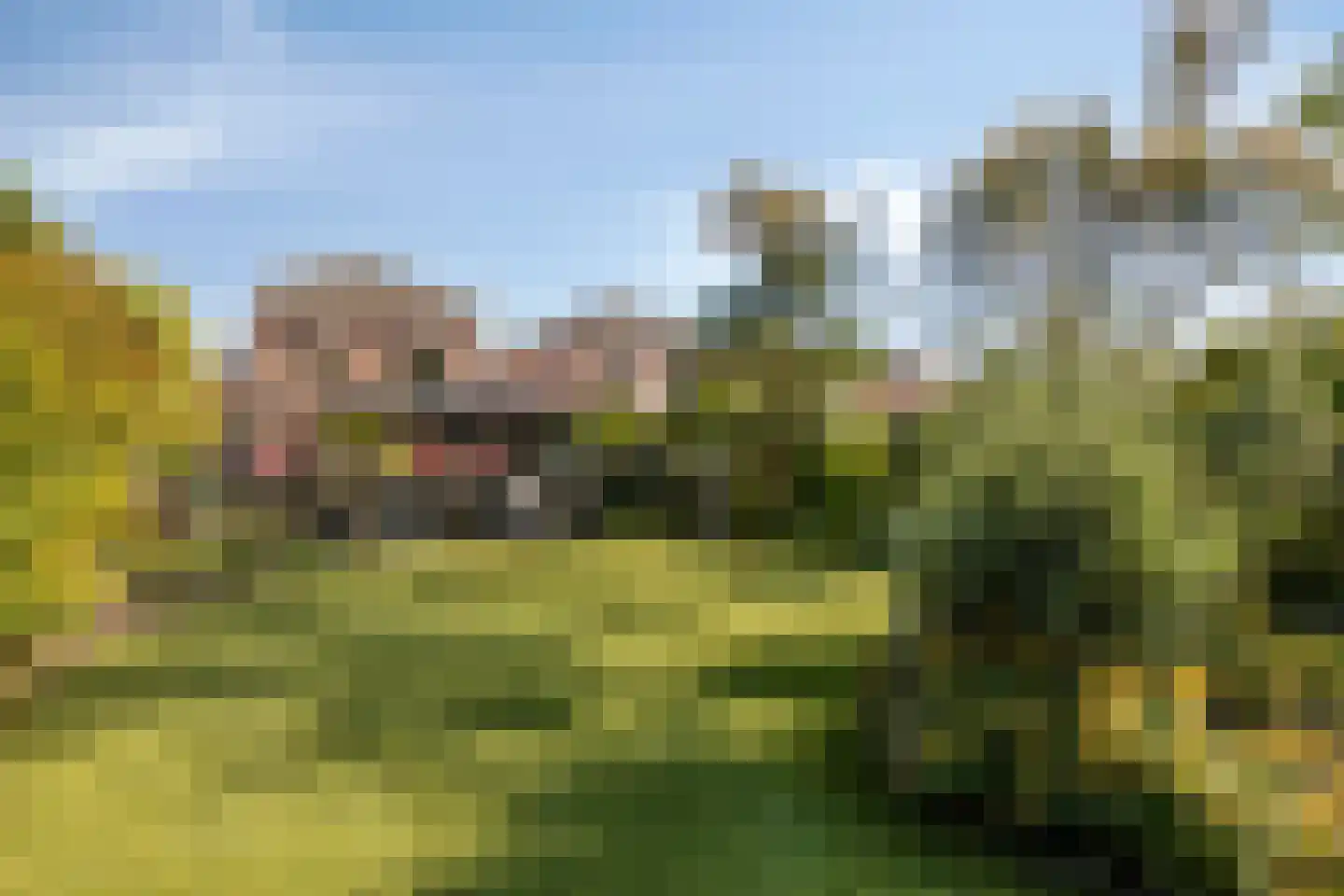 Elsbeen van Baerlestraat 26 Helmond thumbnail 41