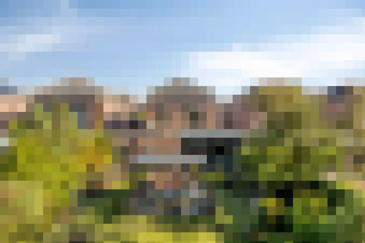 Elsbeen van Baerlestraat 26 Helmond thumbnail 42