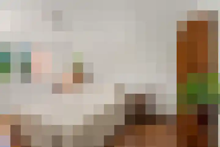 Elsbes 32 Rotterdam thumbnail 13