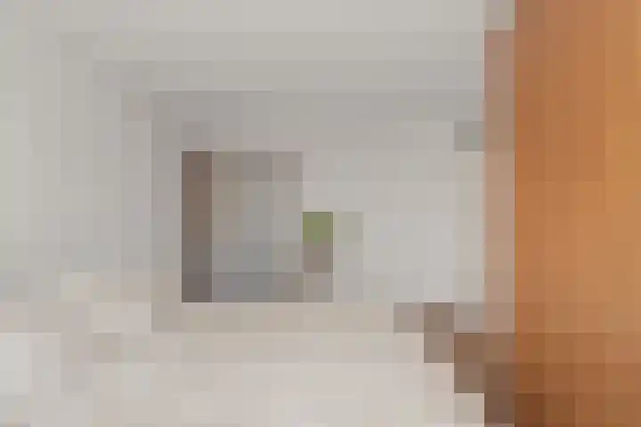 Elsbes 32 Rotterdam thumbnail 15