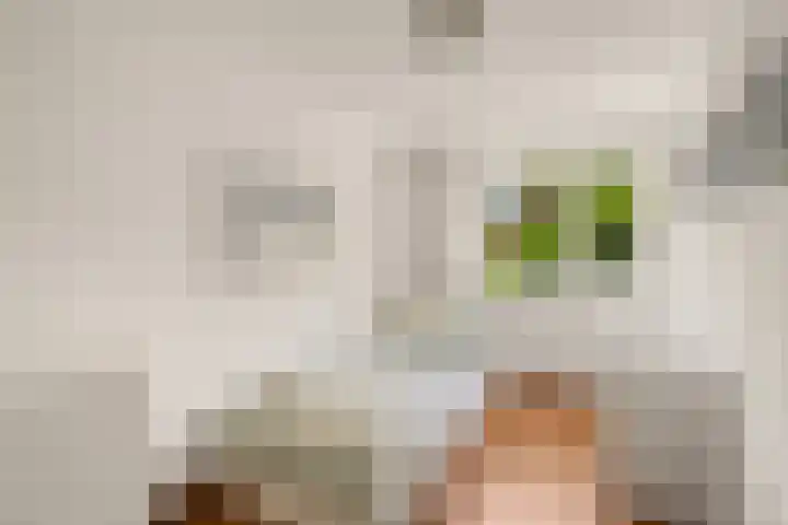 Elsbes 32 Rotterdam thumbnail 16