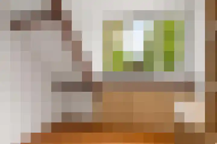 Elsbes 32 Rotterdam thumbnail 24