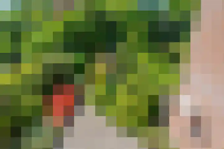 Elsbes 32 Rotterdam thumbnail 27