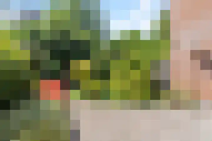 Elsbes 32 Rotterdam thumbnail 28