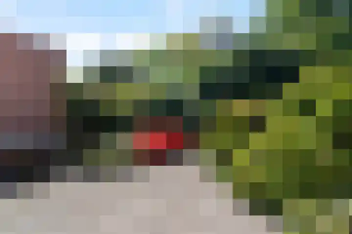 Elsbes 32 Rotterdam thumbnail 29
