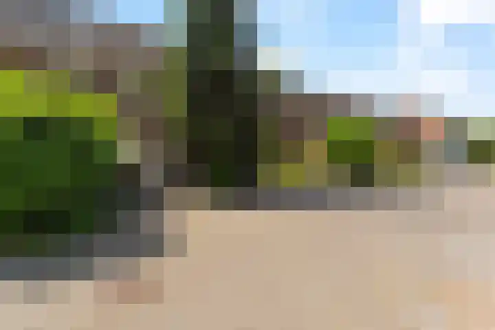 Elsbes 32 Rotterdam thumbnail 32