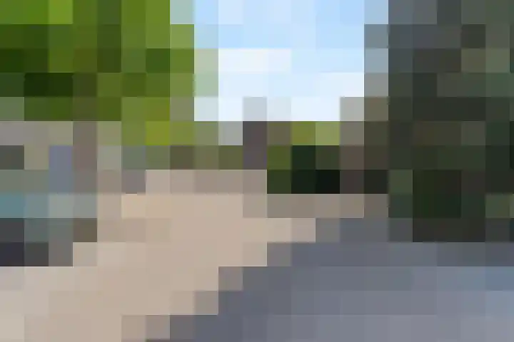 Elsbes 32 Rotterdam thumbnail 33