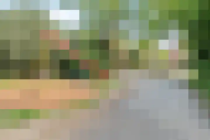 Elsbes 32 Rotterdam thumbnail 34