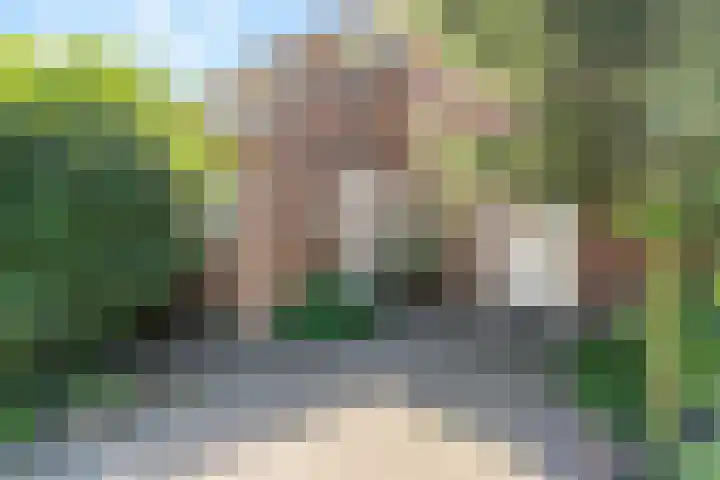 Elsbes 32 Rotterdam thumbnail 4