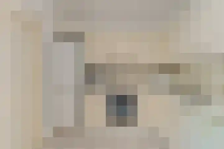 Elsbes 32 Rotterdam thumbnail 9