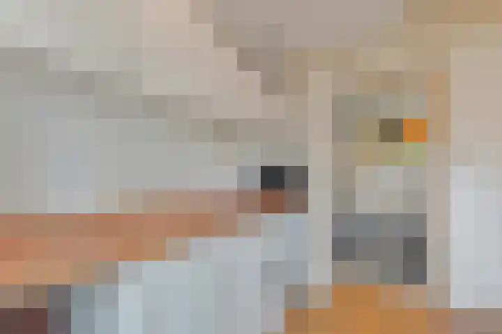 Elsbes 45 Rotterdam thumbnail 11