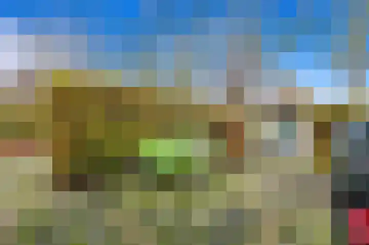 Elsbes 45 Rotterdam thumbnail 13