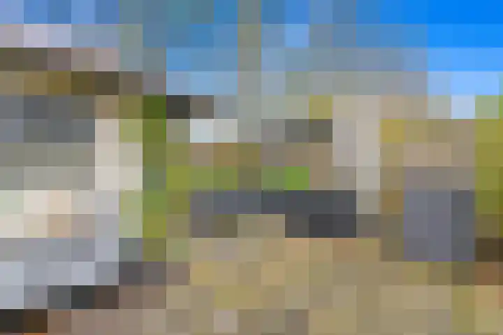 Elsbes 45 Rotterdam thumbnail 15