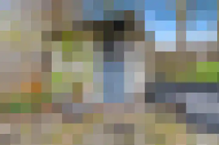 Elsbes 45 Rotterdam thumbnail 16