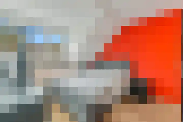 Elsbes 45 Rotterdam thumbnail 22