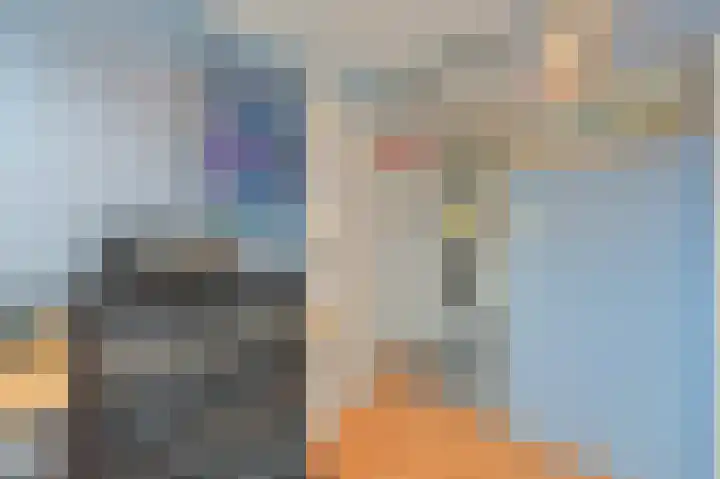Elsbes 45 Rotterdam thumbnail 26
