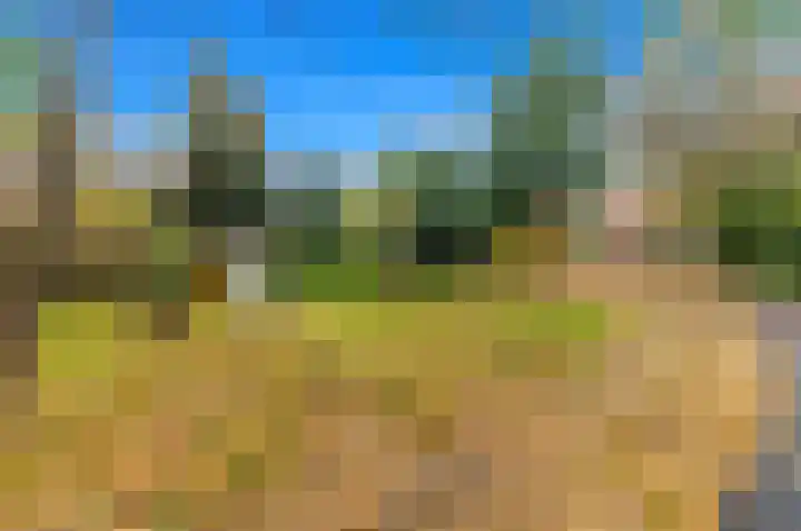Elsbes 45 Rotterdam thumbnail 36