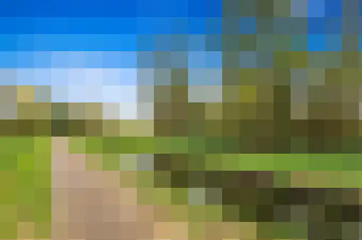 Elsbes 45 Rotterdam thumbnail 39