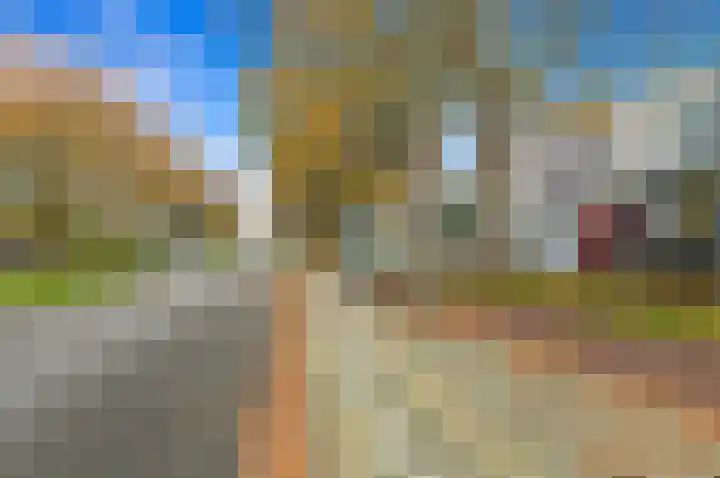 Elsbes 45 Rotterdam thumbnail 45