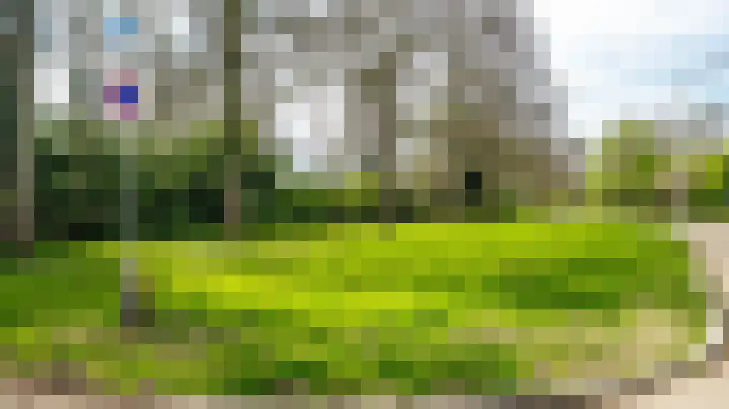 Elsboerlaan 59 Almelo thumbnail 32