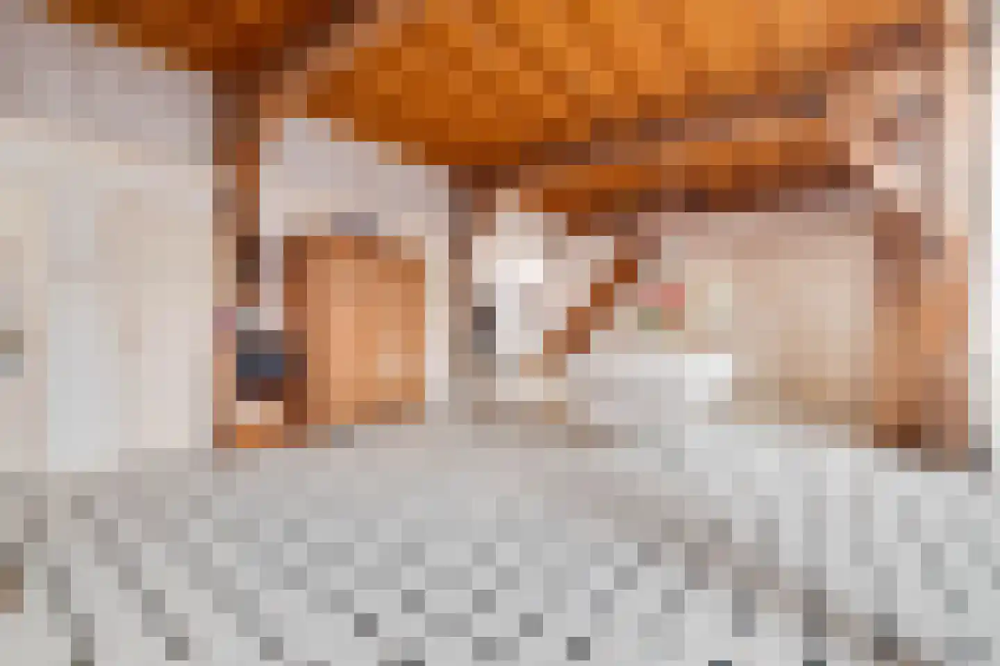 Elsbosweg 23 Klarenbeek thumbnail 14