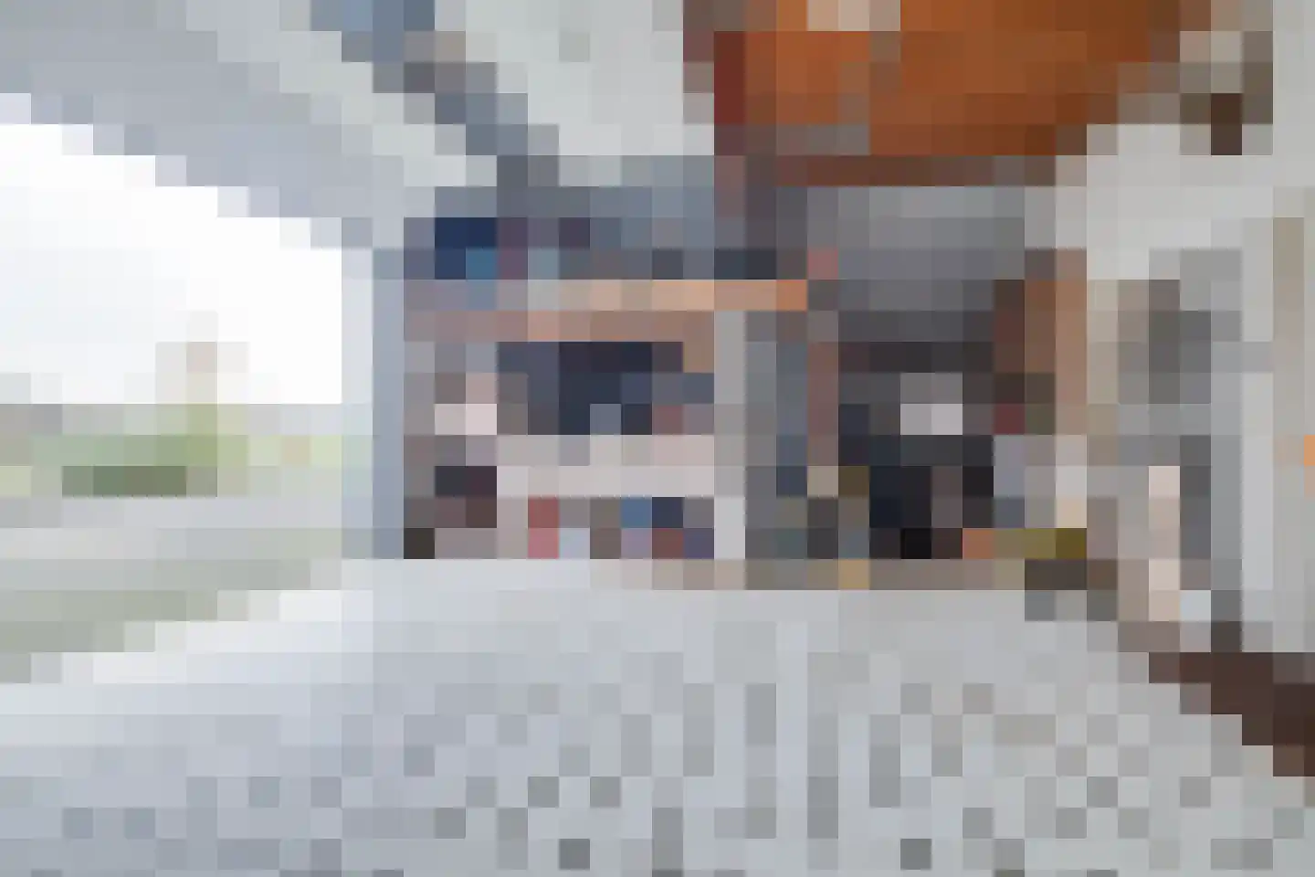 Elsbosweg 23 Klarenbeek thumbnail 18