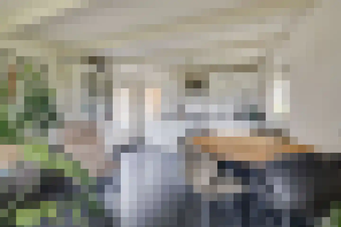 Elsbosweg 23 Klarenbeek thumbnail 38