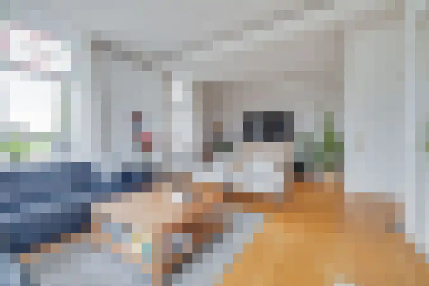 Elsbosweg 23 Klarenbeek thumbnail 4