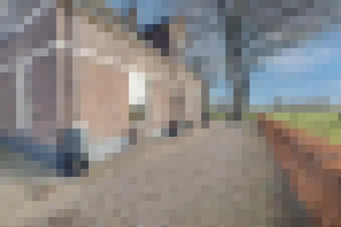 Elsbosweg 23 Klarenbeek thumbnail 49