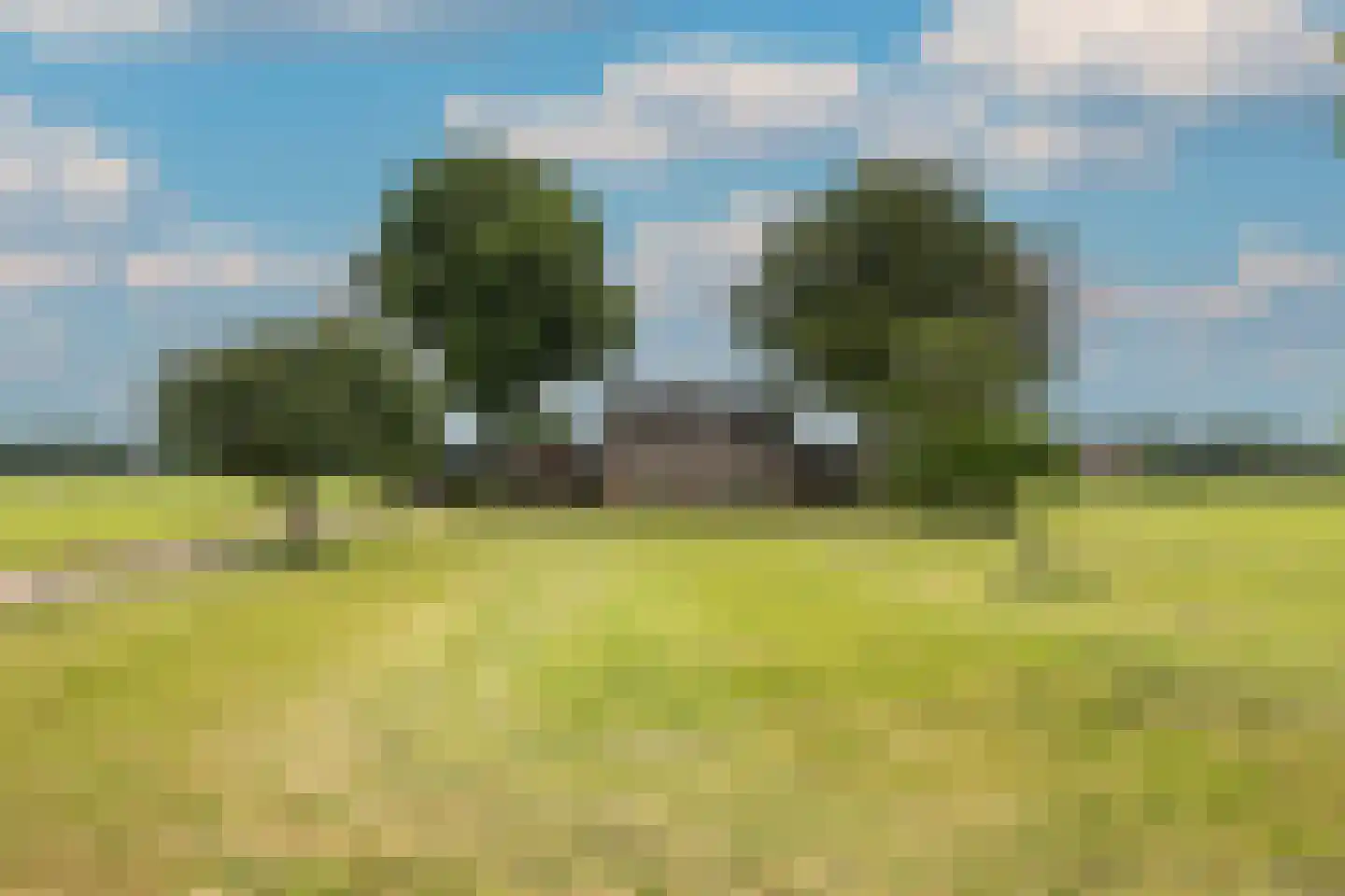 Elsbosweg 23 Klarenbeek thumbnail 50