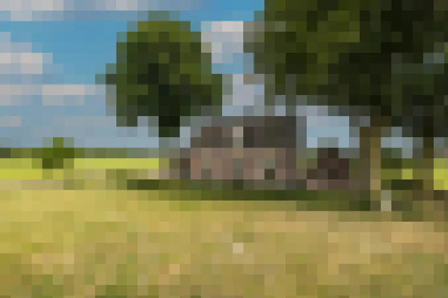 Elsbosweg 23 Klarenbeek thumbnail 51