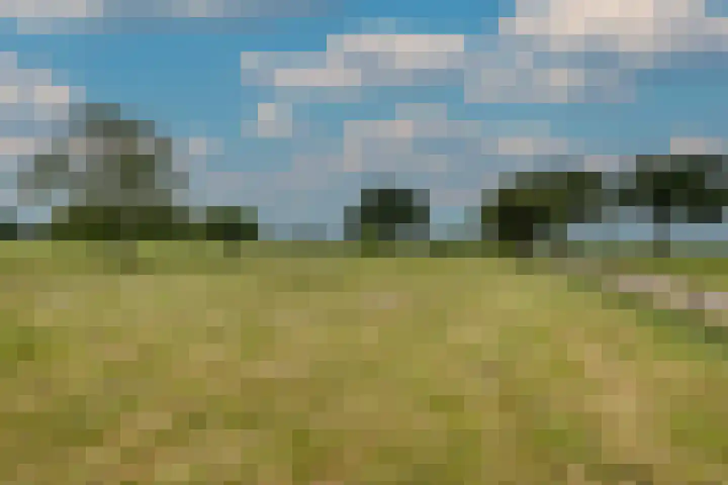 Elsbosweg 23 Klarenbeek thumbnail 52