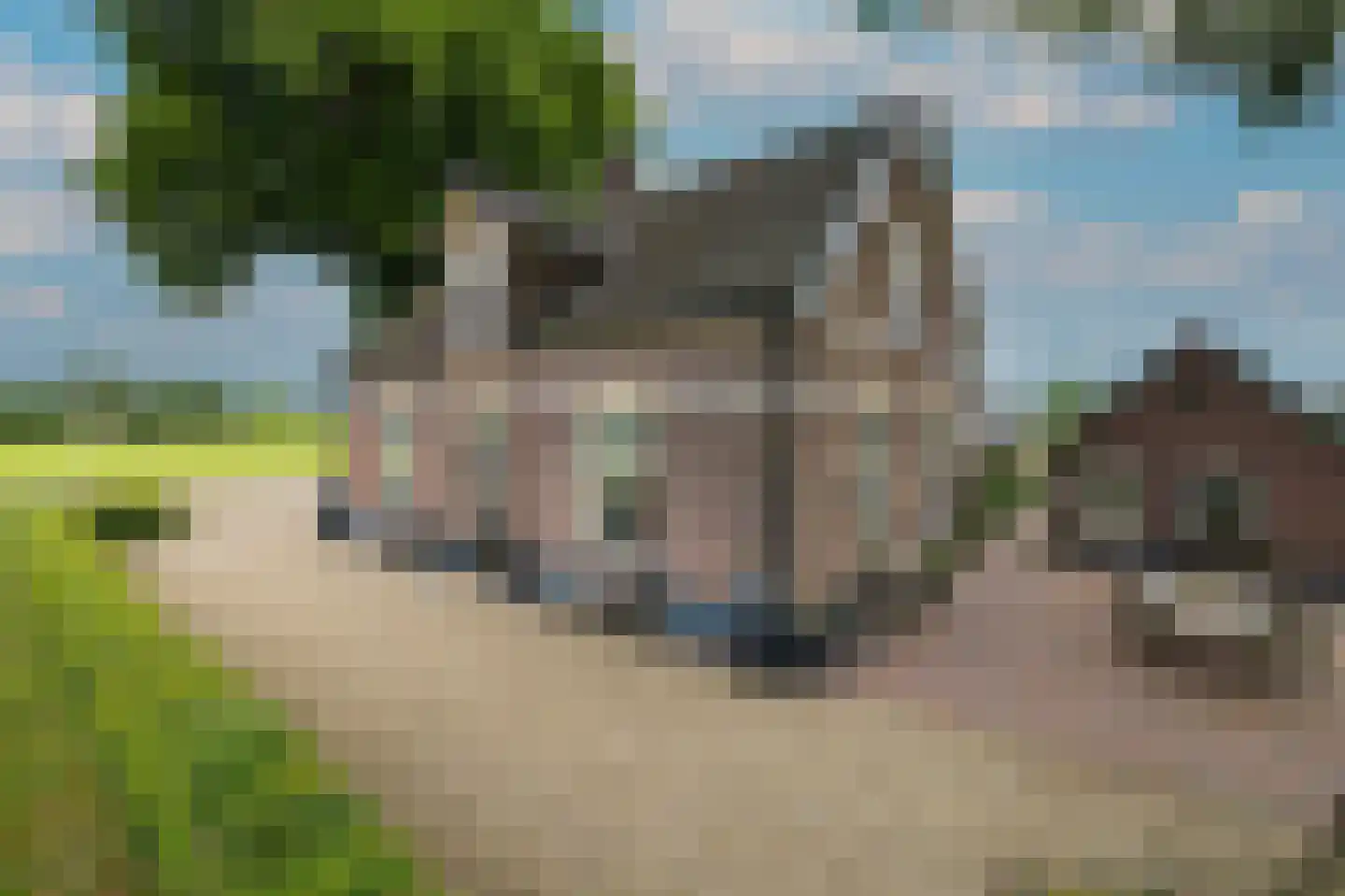 Elsbosweg 23 Klarenbeek thumbnail 53