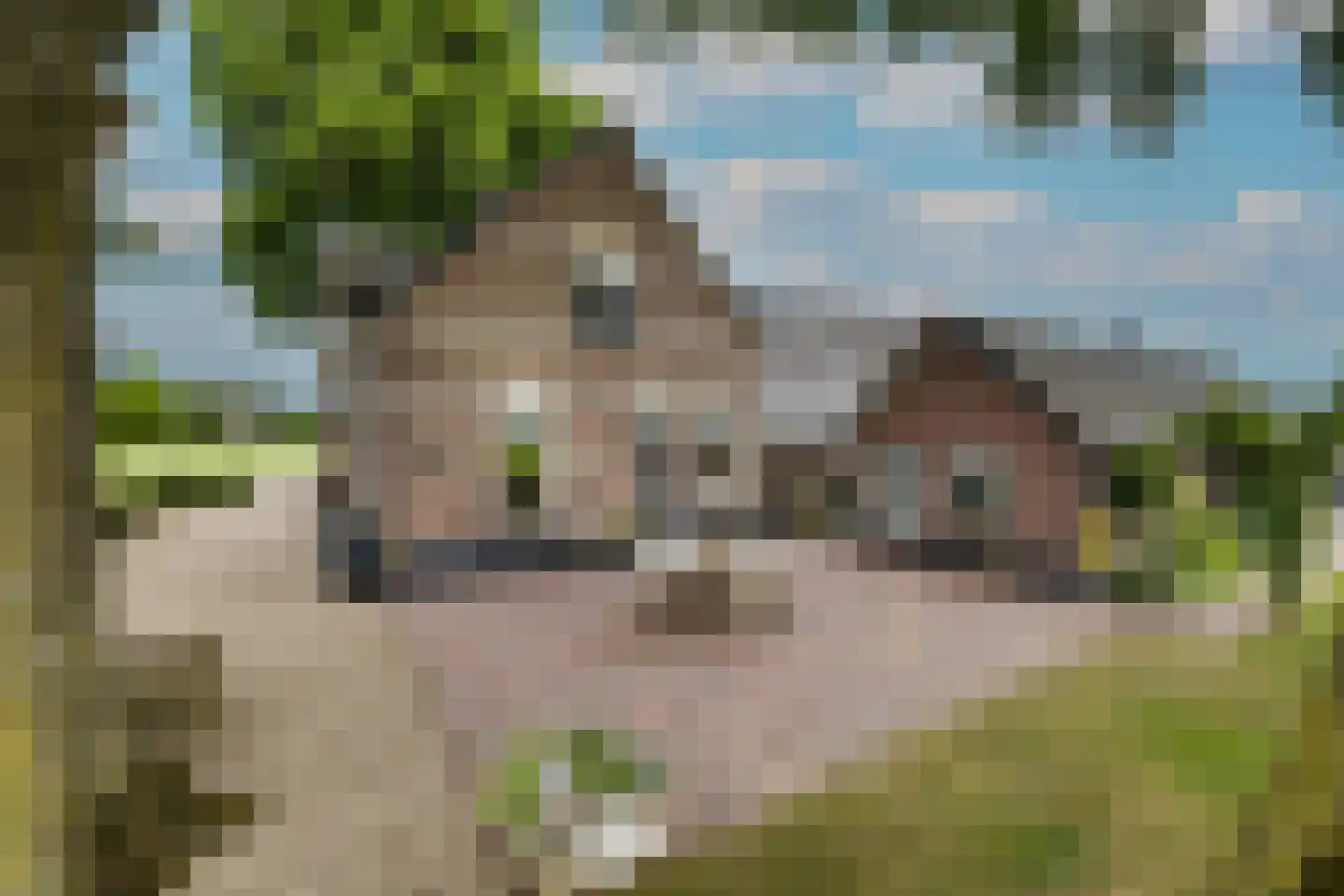 Elsbosweg 23 Klarenbeek thumbnail 56