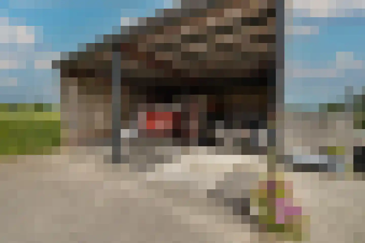 Elsbosweg 23 Klarenbeek thumbnail 60