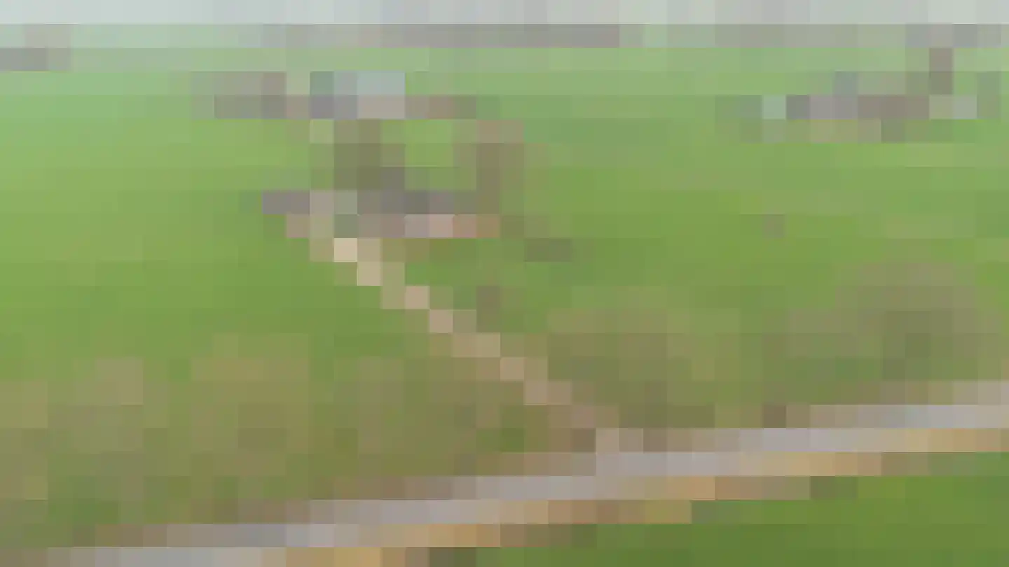 Elsbosweg 23 Klarenbeek thumbnail 61