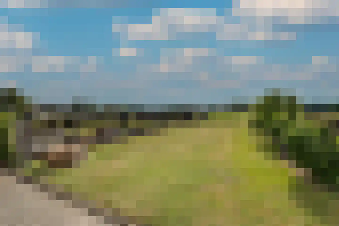 Elsbosweg 23 Klarenbeek thumbnail 62