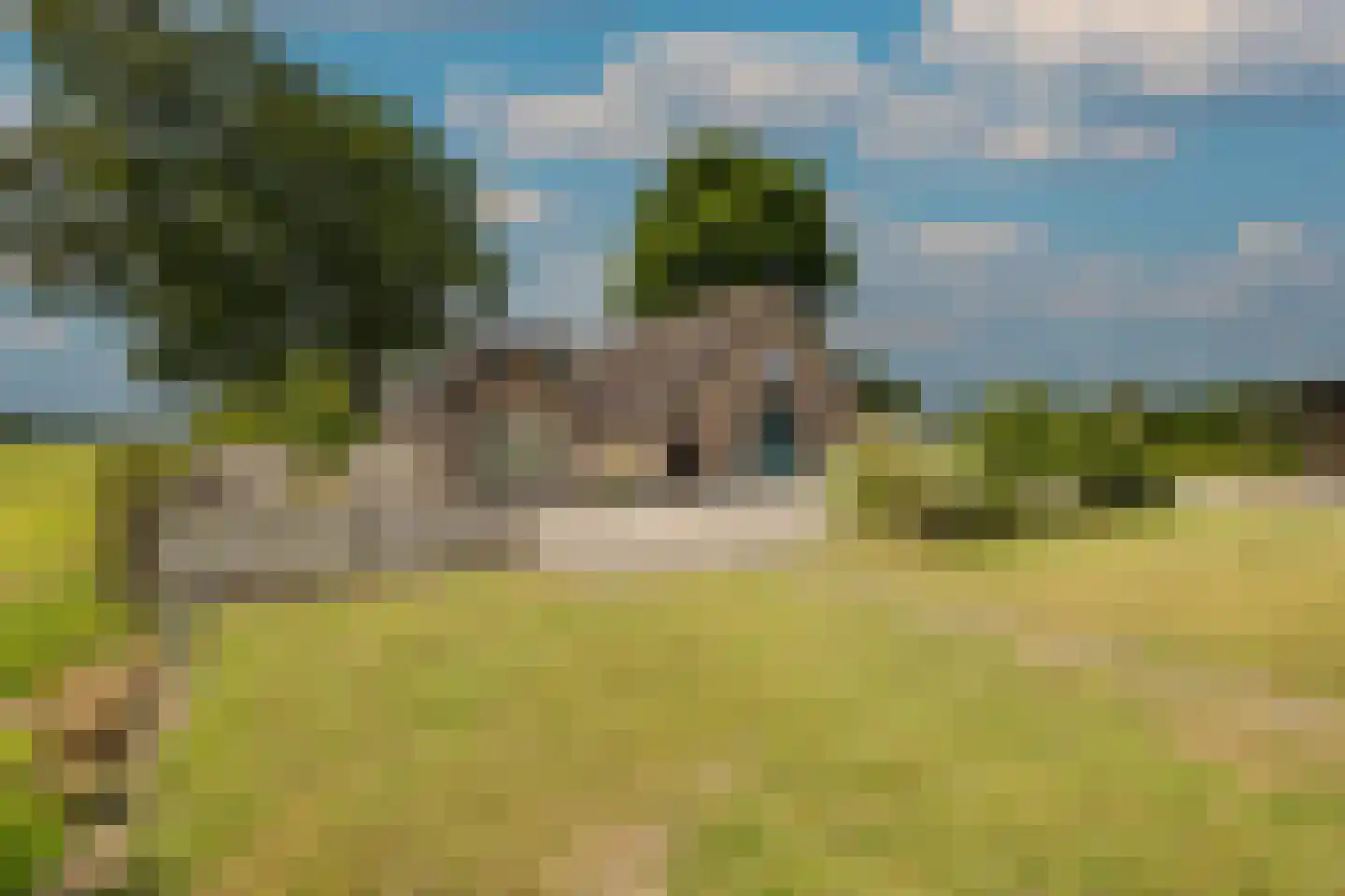 Elsbosweg 23 Klarenbeek thumbnail 64