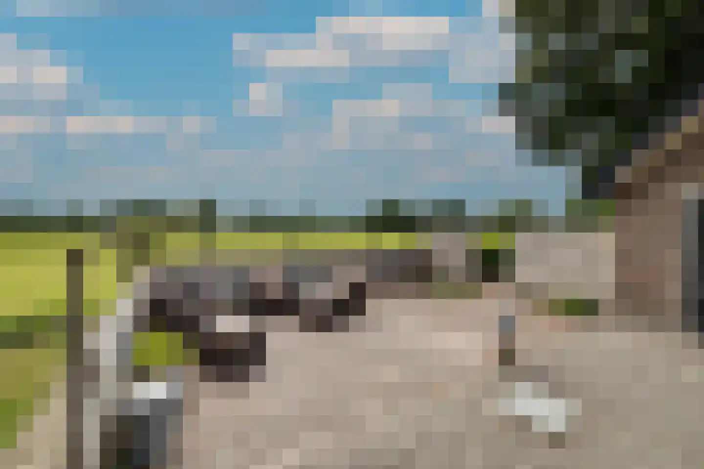 Elsbosweg 23 Klarenbeek thumbnail 65