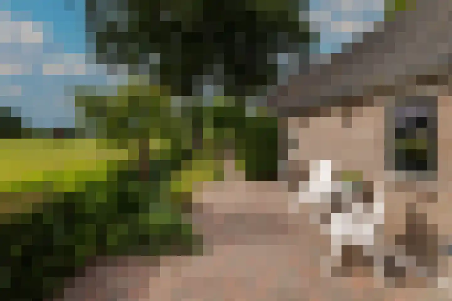 Elsbosweg 23 Klarenbeek thumbnail 66