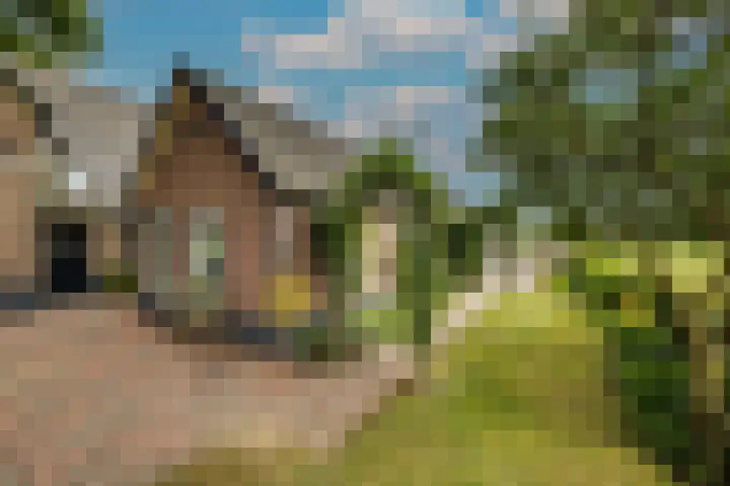 Elsbosweg 23 Klarenbeek thumbnail 67