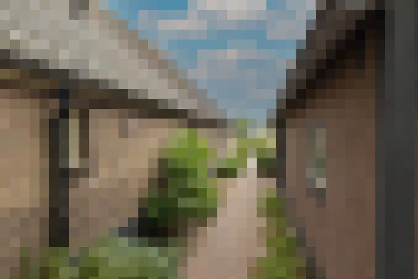 Elsbosweg 23 Klarenbeek thumbnail 68