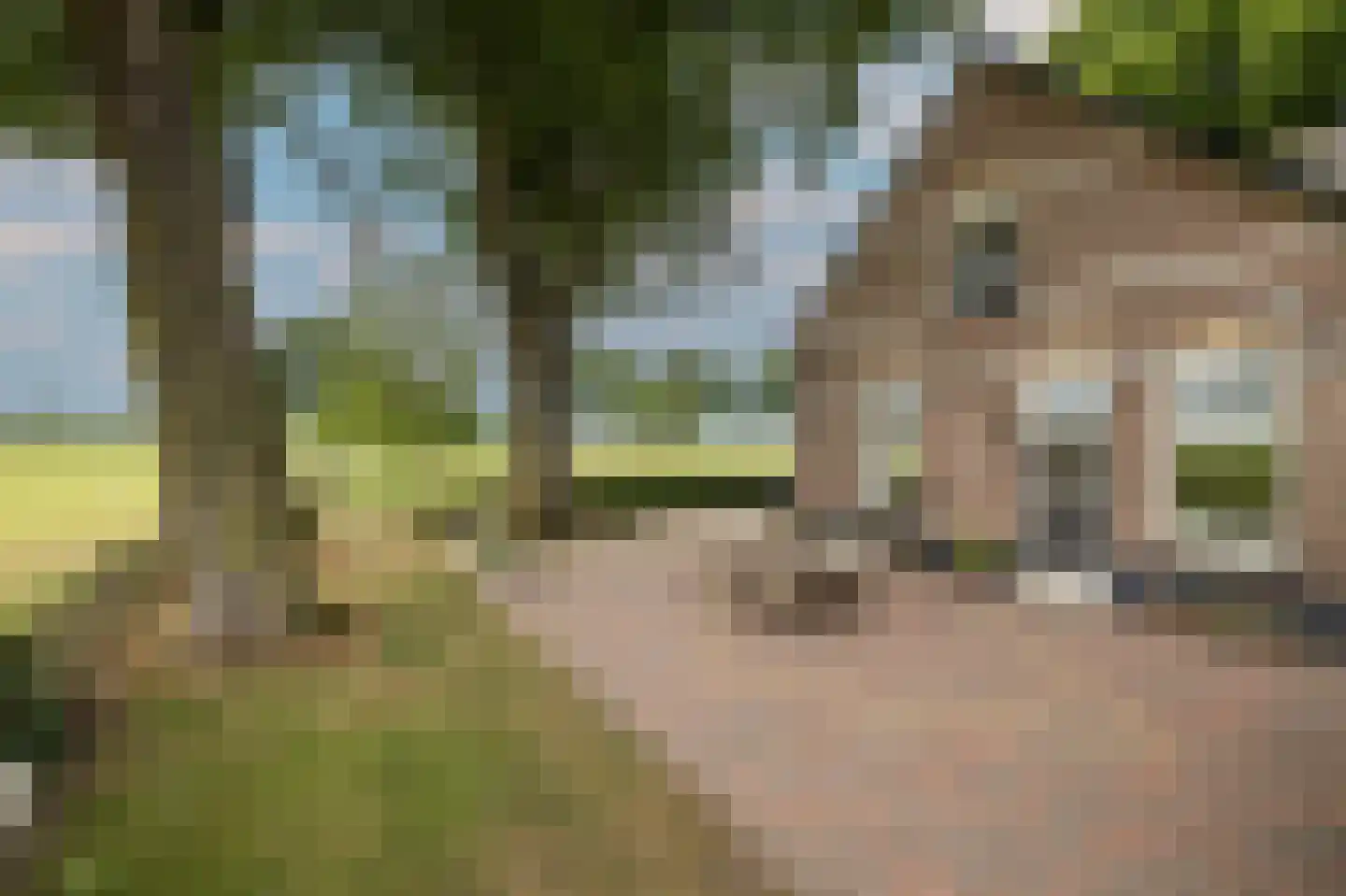 Elsbosweg 23 Klarenbeek thumbnail 69