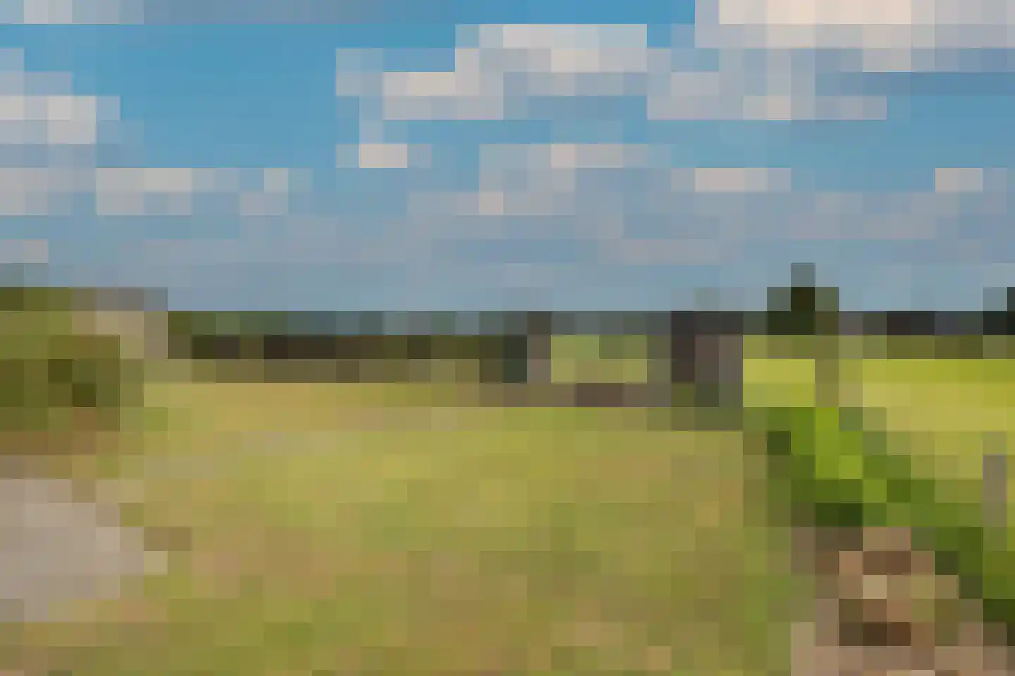 Elsbosweg 23 Klarenbeek thumbnail 71