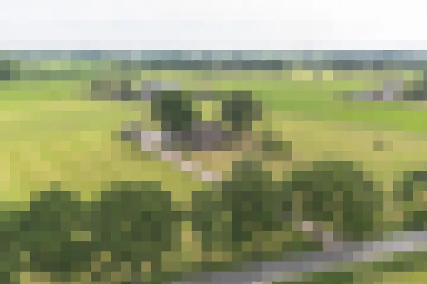 Elsbosweg 23 Klarenbeek thumbnail 73
