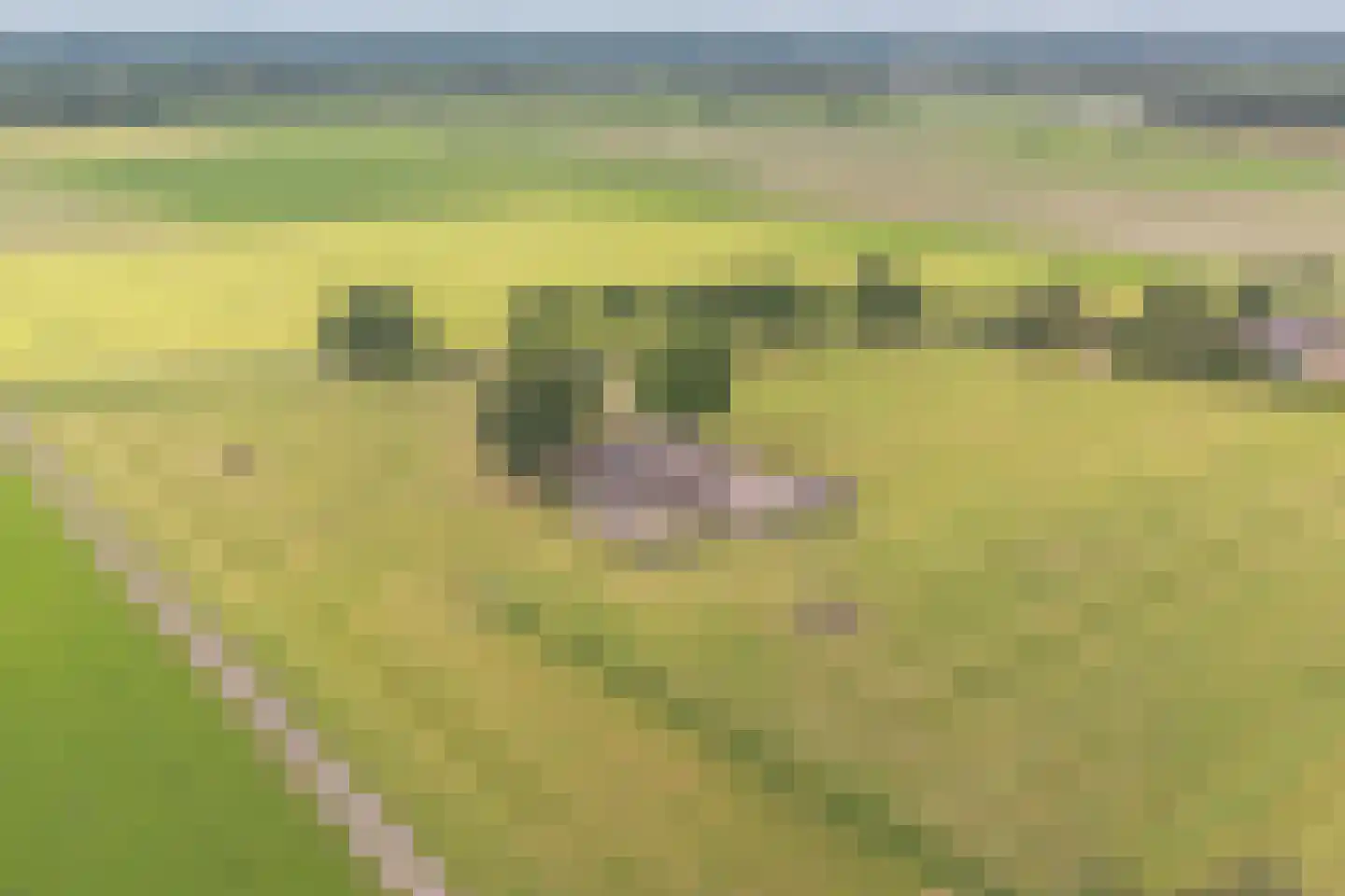 Elsbosweg 23 Klarenbeek thumbnail 74