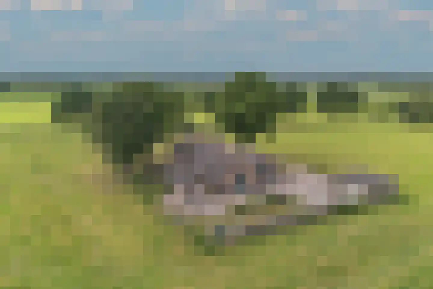 Elsbosweg 23 Klarenbeek thumbnail 75
