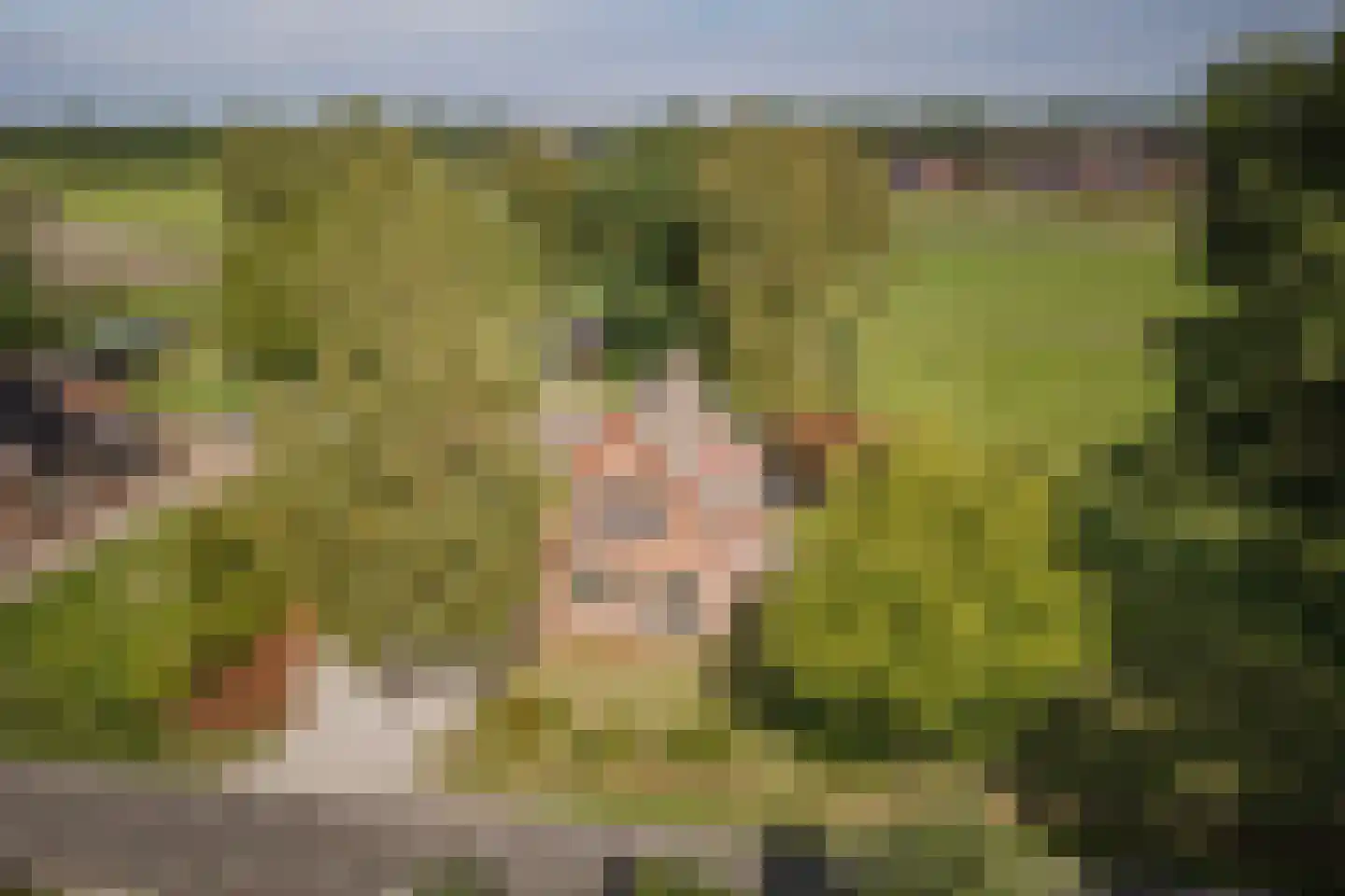Elsbosweg 89 Klarenbeek thumbnail 10