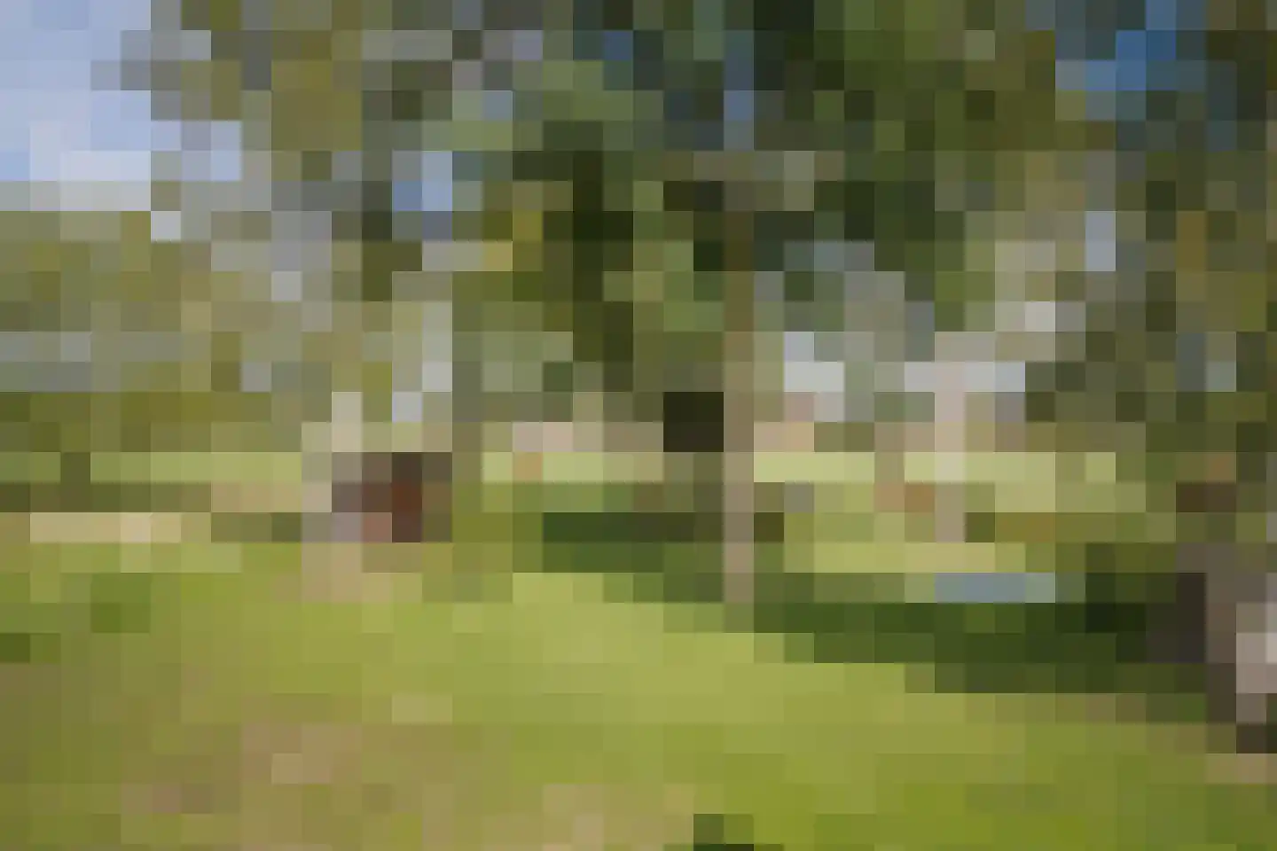Elsbosweg 89 Klarenbeek thumbnail 12