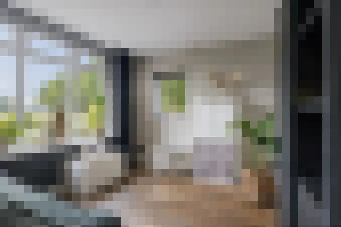 Elsbosweg 89 Klarenbeek thumbnail 19